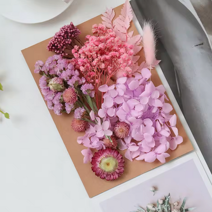 Real Dried Flowers