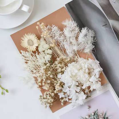 Real Dried Flowers