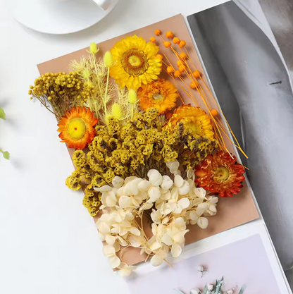 Real Dried Flowers